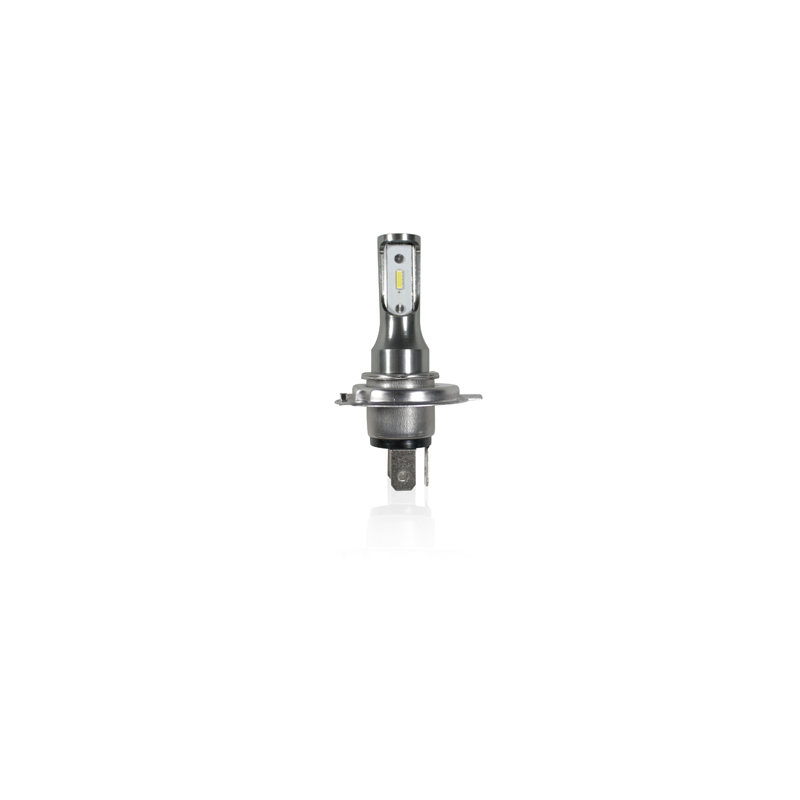 Ampoule 2 LEDs 12V 1860SMD